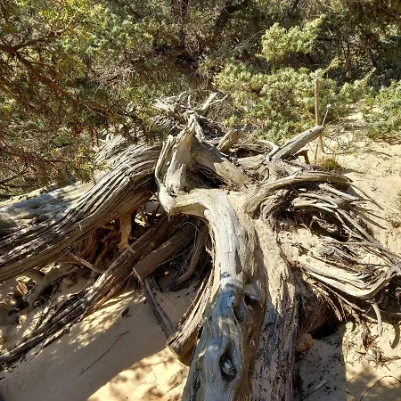 Σπίτι διακοπών Casa Lentisco Chia