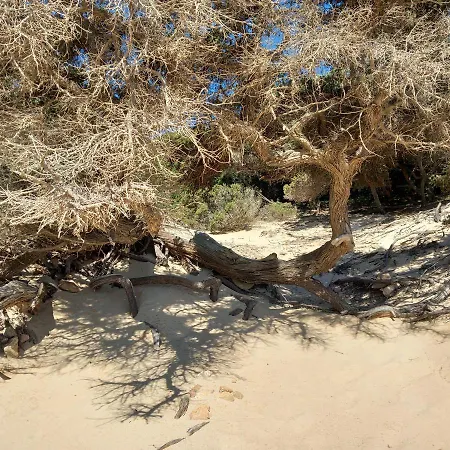 Casa Lentisco Holiday home *