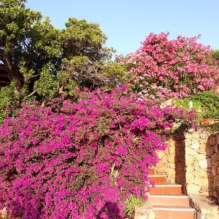 Casa Lentisco Porto Taverna